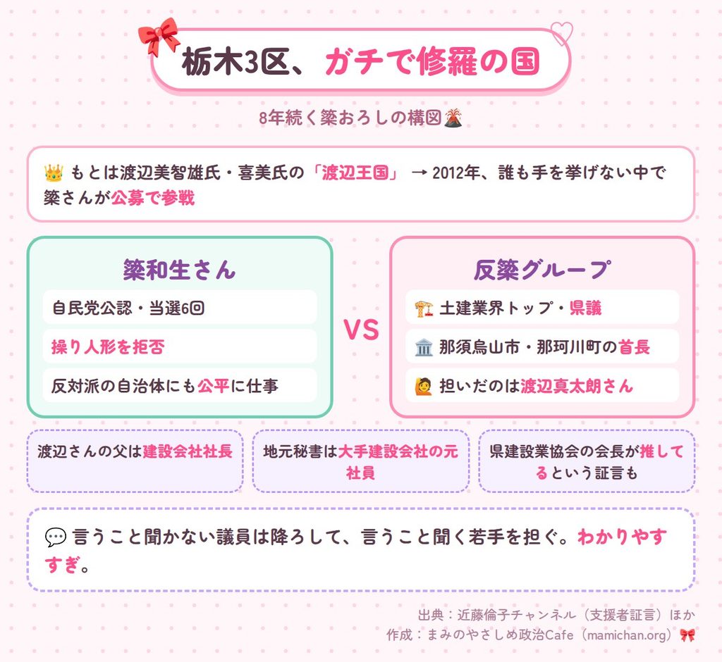 「渡辺王国」だった栃木3区に、2012年に公募で参戦した簗さん。操り人形を拒否した簗さんに対し、土建業界トップや県議、那須烏山市・那珂川町の首長が反簗グループとして渡辺真太朗さんを担いだ構図を示した図。渡辺さんの父が建設会社社長で、地元秘書が大手建設会社の元社員であることも載せている。